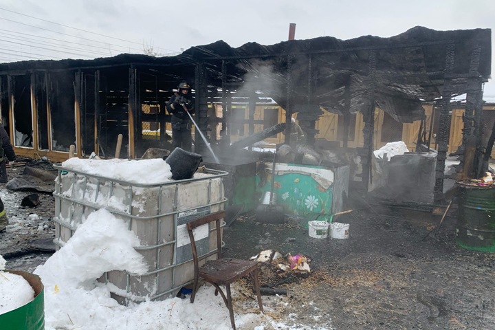 Собаки погибли при пожаре в новосибирском приюте для животных