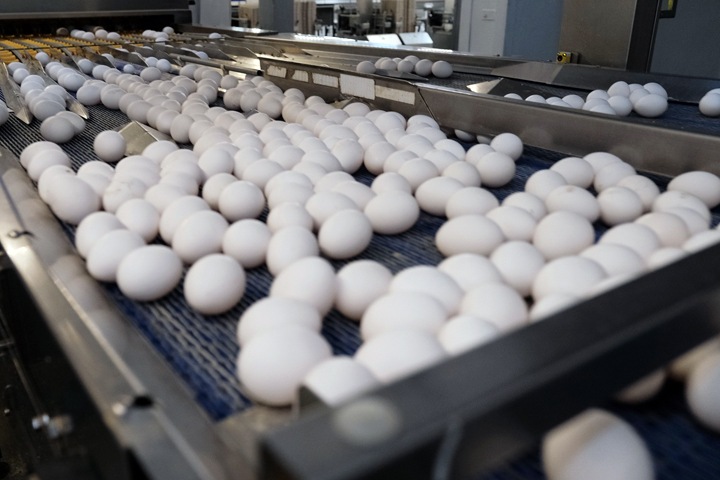Прокуратура проиграла иск к Евсинской птицефабрике на 1 млрд