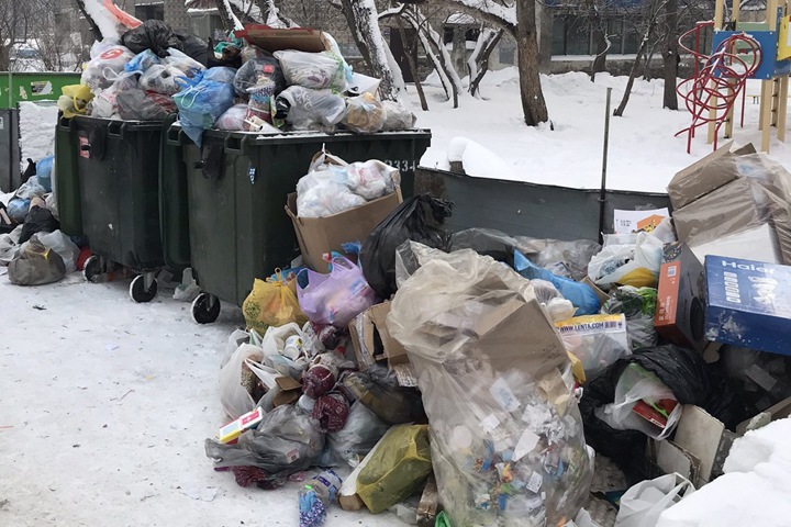«Экология-Новосибирск»: жалоб на вывоз мусора стало меньше