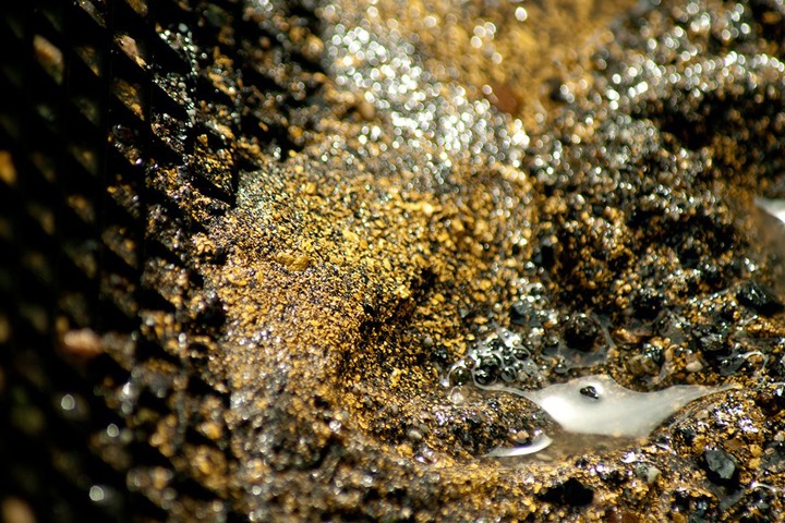 Двое жителей Бурятии незаконно добыли более полутора килограммов золота
