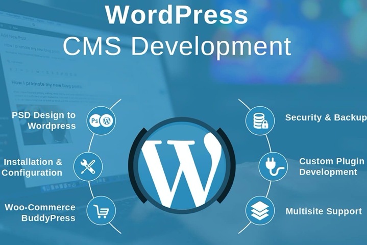 Создание сайтов на базе wordpress программы для создания иконок для сайта