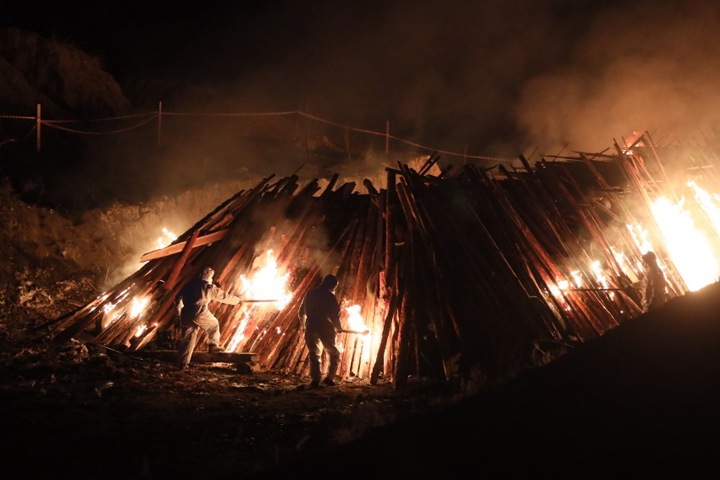 Тысячу свиней сожгли в Забайкалье из-за чумы