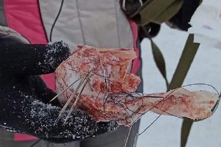 Мясо с иглами разбросали в новосибирском сквере
