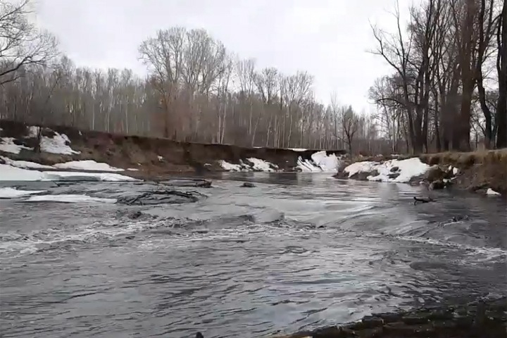 Мэрия Новосибирска заявила об угрозе подтопления из-за подъема уровня воды в реке
