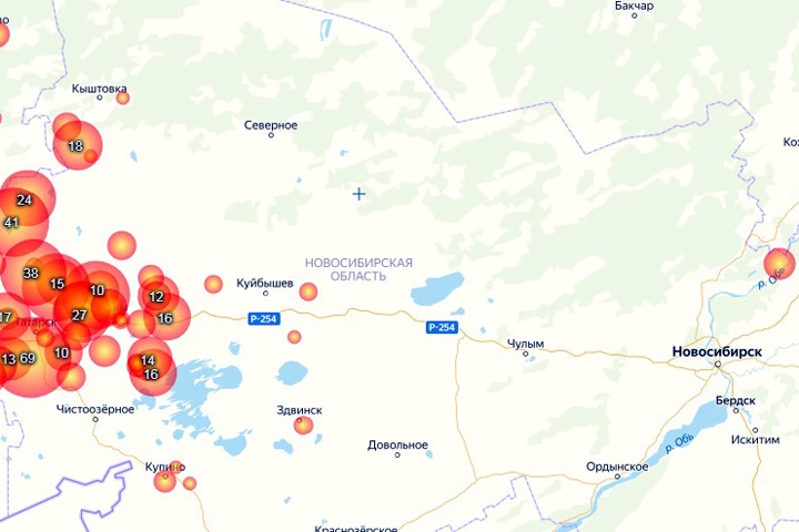 Пожароопасный сезон установили в Новосибирской области