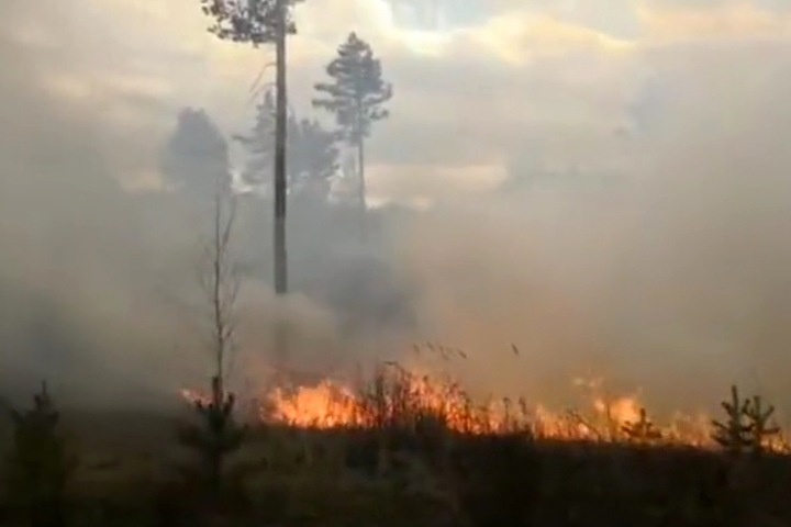 «Психанул и начал поджигать лес»: иркутянин устроил пожар из-за того, что его никто не хотел подвозить