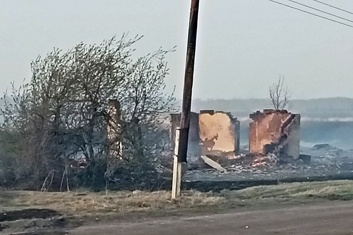 Лесной пожар уничтожил полдеревни в Омской области. Фото