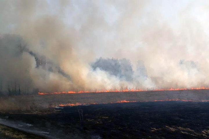 Огонь прошел почти 600 тыс. га леса в Сибири