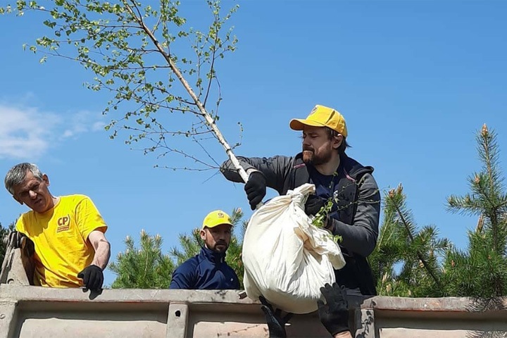 Волонтеры спасли около 700 деревьев под Новосибирском