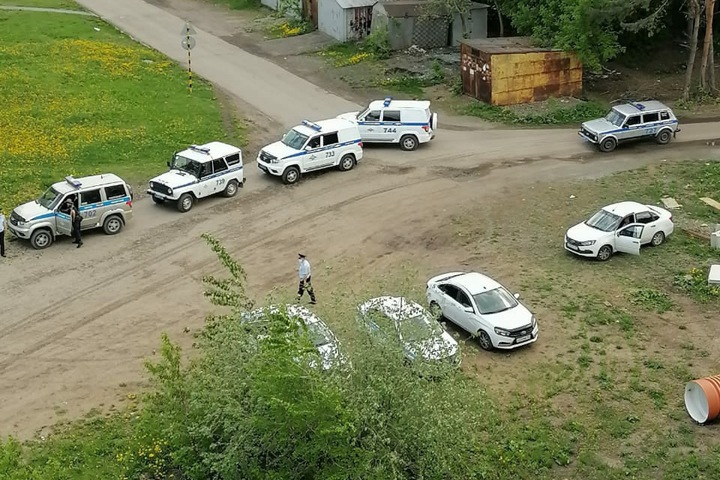 Протестующих против рубки деревьев под дорогу задержали в Кемерове