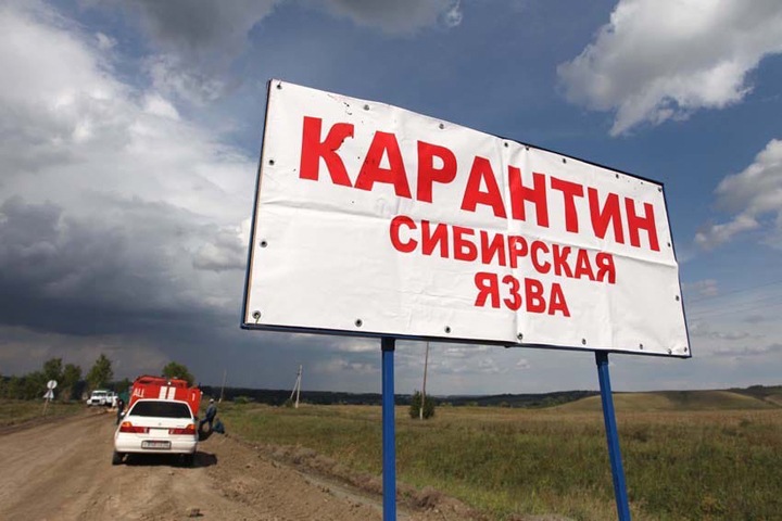 Тувинское село закрыли на карантин из-за сибирской язвы у жителя