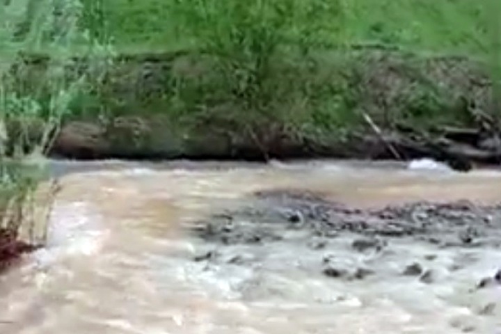Жители рассказали о загрязнении рек золотодобытчиками в Кузбассе и Хакасии