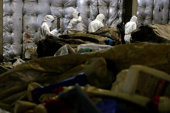 Greenpeace в Новосибирске: после сортировки мусора больше всего остается одноразового пластика
