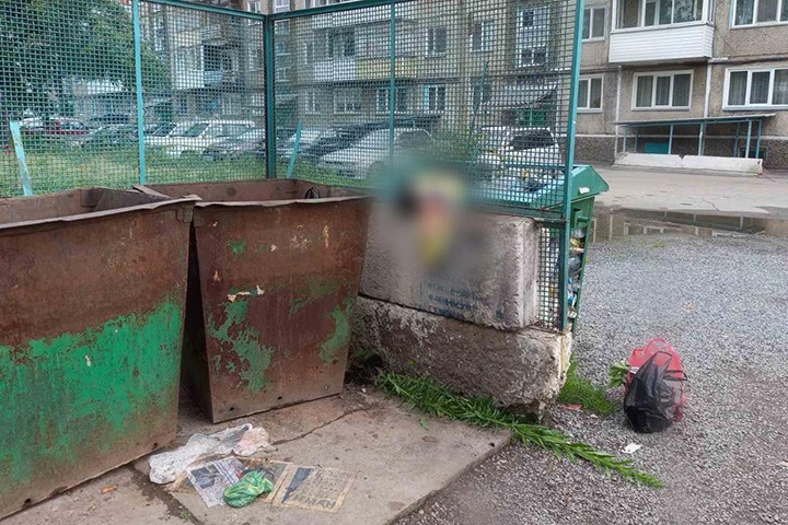 Тело младенца нашли в мусорном баке в Ачинске