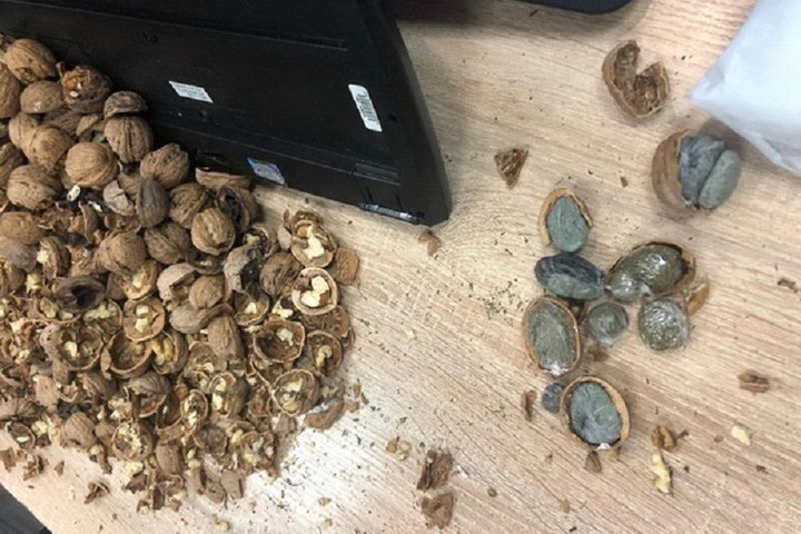 Наркотики в грецких орехах доставляли в забайкальскую колонию