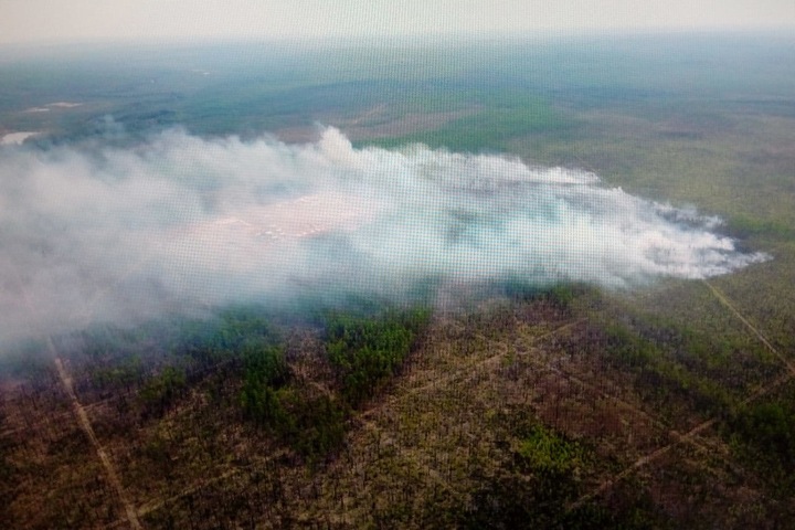 Почти 40 тыс. гектаров леса горит в Иркутской области