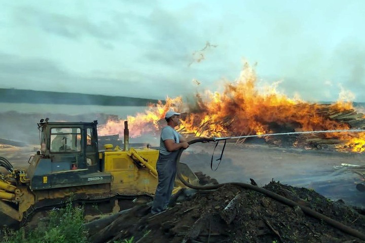 Намеренный поджог назвали причиной возгорания штабелей леса на Братском водохранилище