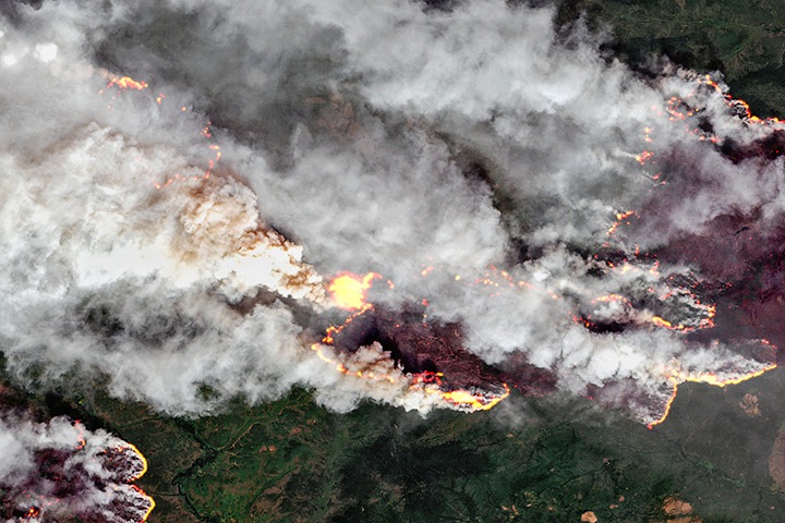 Площадь лесных пожаров в Иркутской области превысила 100 тыс. га