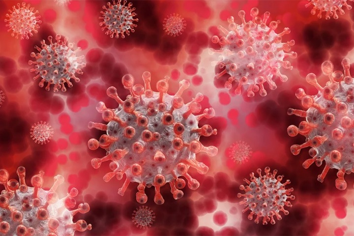 Ученые нашли причины невосприимчивости некоторых людей к новому коронавирусу
