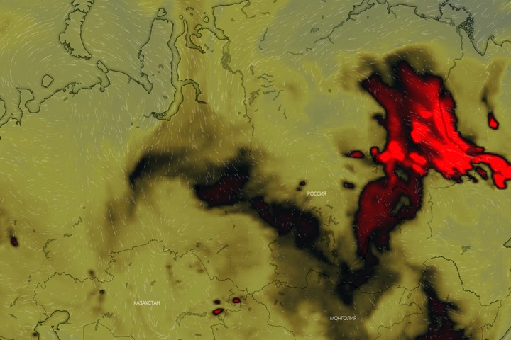 Сибирь стала мировым эпицентром по концентрации углекислого газа на фоне лесных пожаров