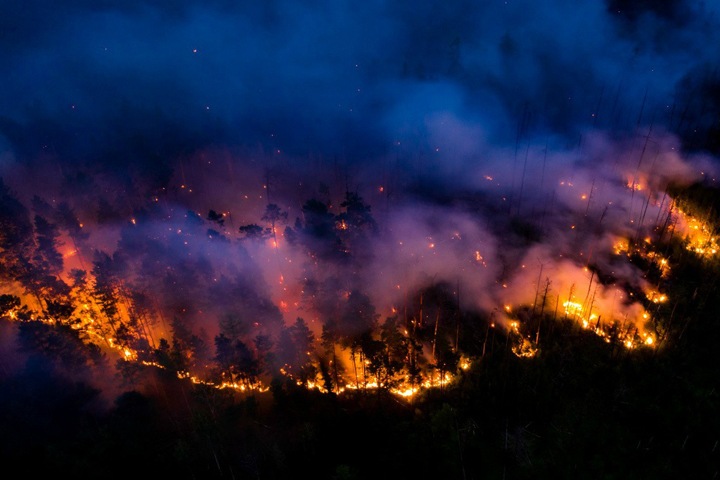 Высокопоставленный алтайский единоросс списал лесные пожары на «иностранные спецслужбы»
