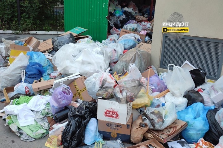 Регоператор оправдал заваленный мусором центр Новосибирска болезнью сотрудников