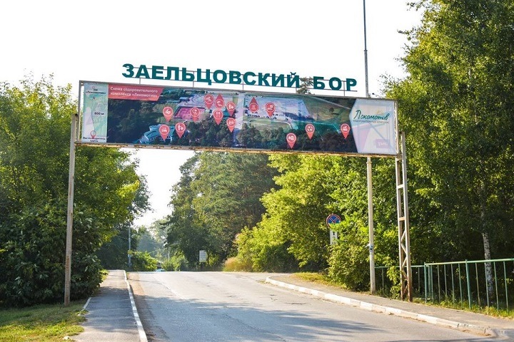 Новосибирские власти запретили рубки и строительство в Заельцовском бору