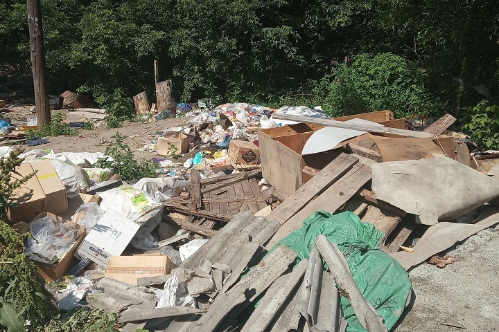 Прокуратура нашла нарушения в работе мусорного регоператора в Новосибирске