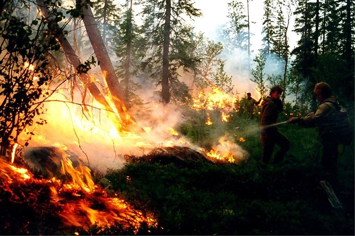 Огонь охватил почти 10,5 млн га леса в Сибири