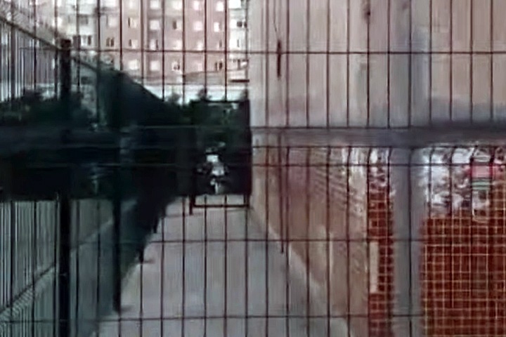 Глава новосибирского ТСЖ поставила личный двухметровый забор во дворе многоэтажки