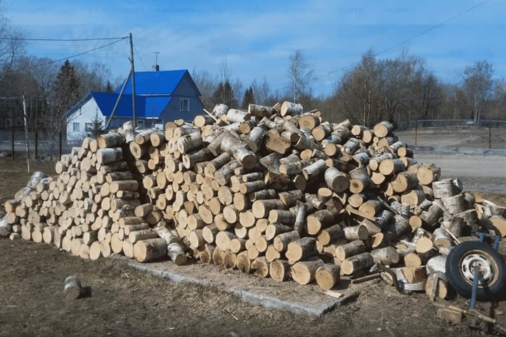 Глава Забайкалья списал подорожание дров на аппетиты бизнеса и лесные пожары