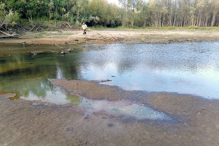 Нефтепродукты попали в протоку Оби в Новосибирской области