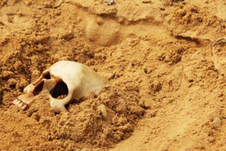 Скелет нашли на берегу Катуни в Горном Алтае