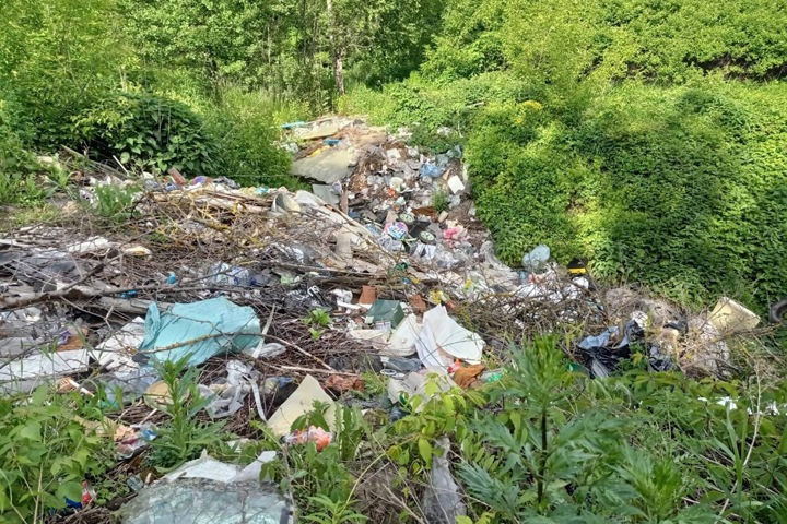 «Я ему на голову ведро помойное надену»: новосибирские депутаты вновь раскритиковали ситуацию с вывозом мусора в регионе