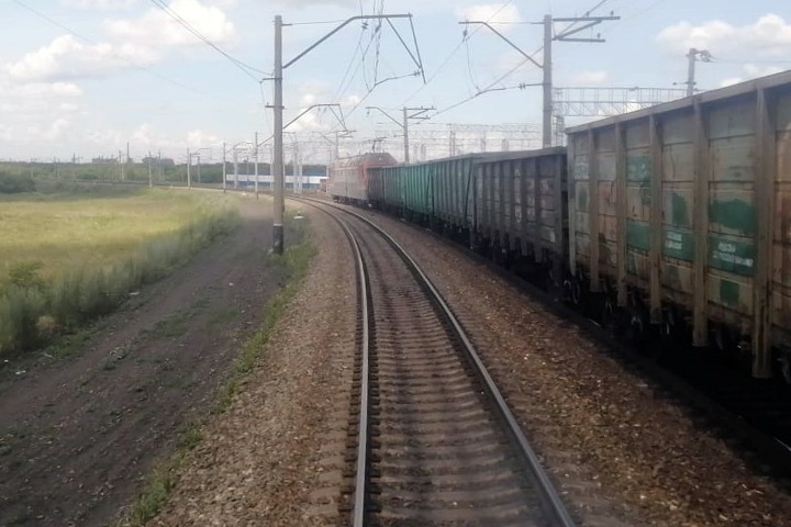Поезд врезался в табун лошадей в Кузбассе