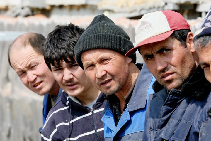 Новосибирские депутаты обсудили стоимость патента для трудовых мигрантов