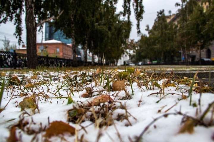 Похолодание с мокрым снегом ожидается в Новосибирской области