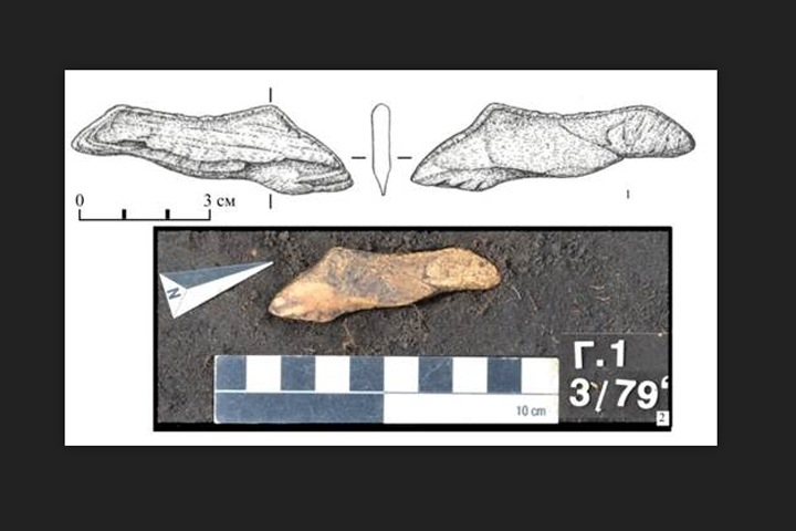 Археологи нашли статуэтку головы лося и височные кольца на раскопках в Новосибирской области