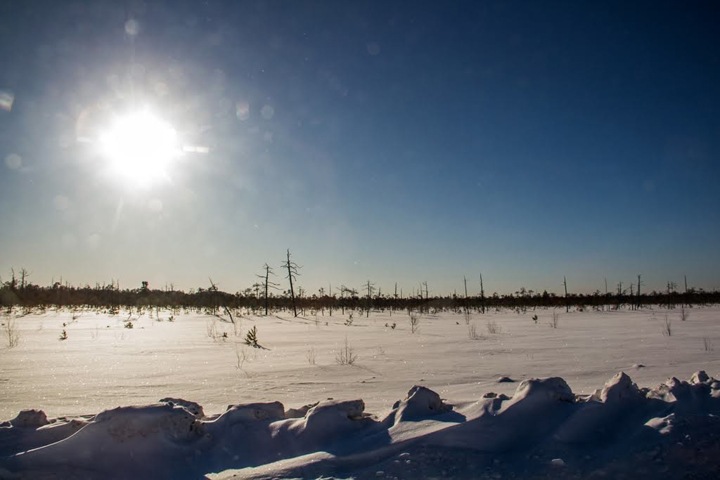 Морозы сменятся резким потеплением в Новосибирске