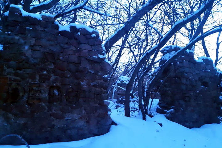 Здание старинного пивзавода около стройки новосибирского ЛДС не признали объектом культурного наследия