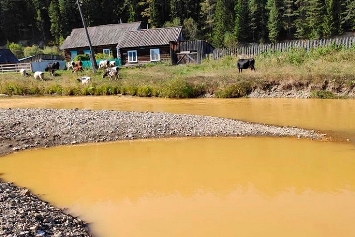 Количество загрязненных рек около участков золотодобычи выросло в Сибири
