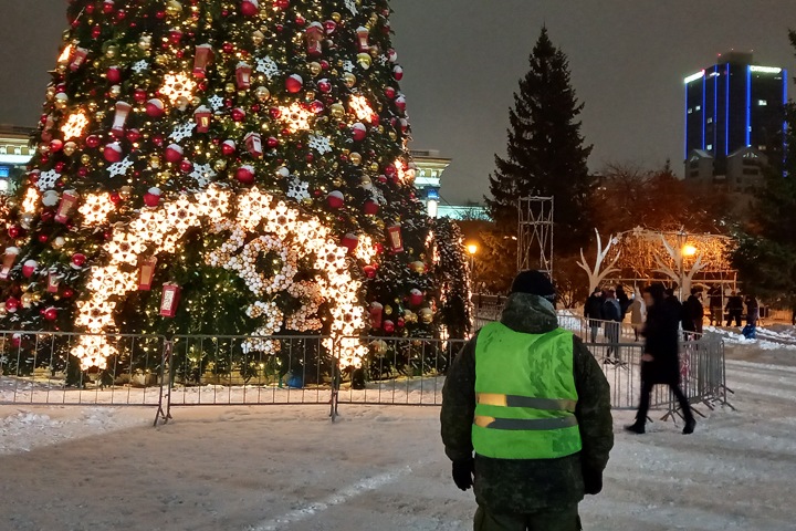30-градусные морозы ожидаются в Новосибирской области в новогоднюю ночь