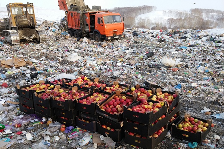 Почти 13 тонн запрещенных фруктов уничтожили в Красноярском крае