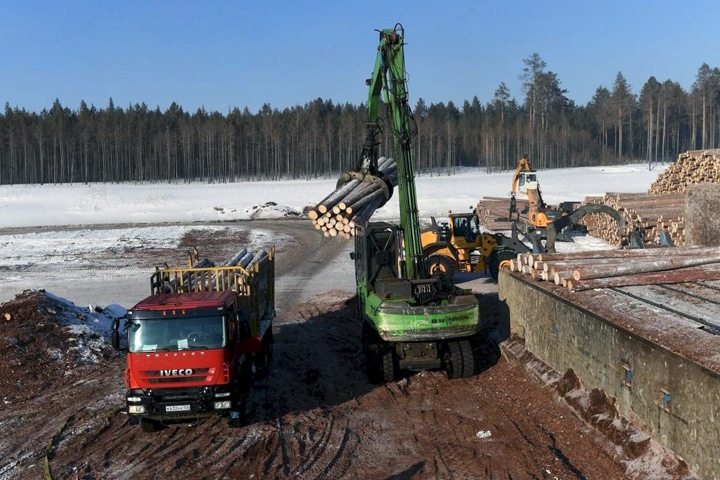 Иностранец вывез леса из Красноярского края на 260 млн