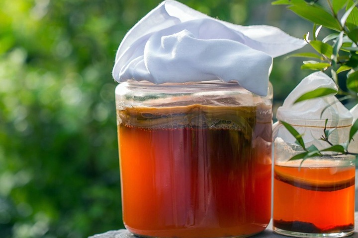 Сибирские ученые превратили овсяную шелуху в ценный продукт с помощью чайного гриба