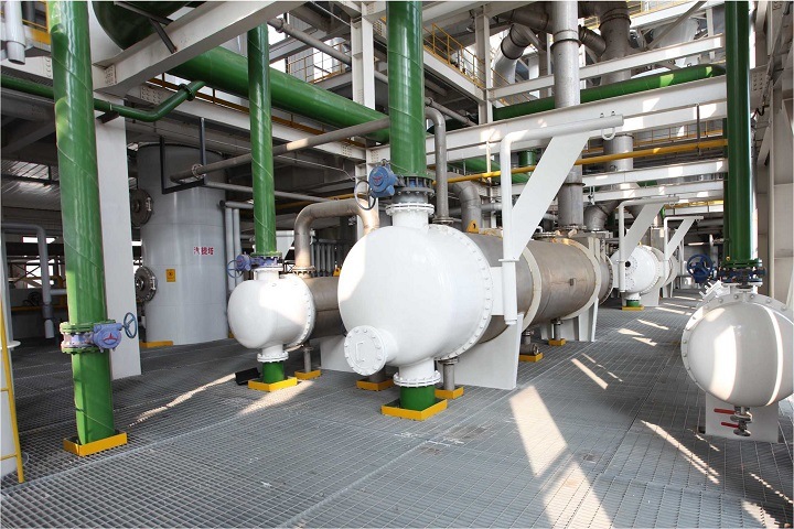 Завод по выпуску рапсового масла построят под Новосибирском. Продукцию будут поставлять в Китай