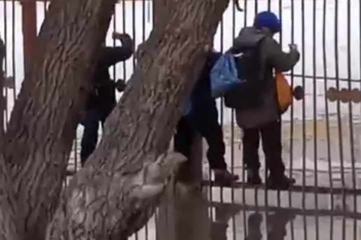 Новосибирские дети вынуждены добираться в школу по забору из-за гигантских луж