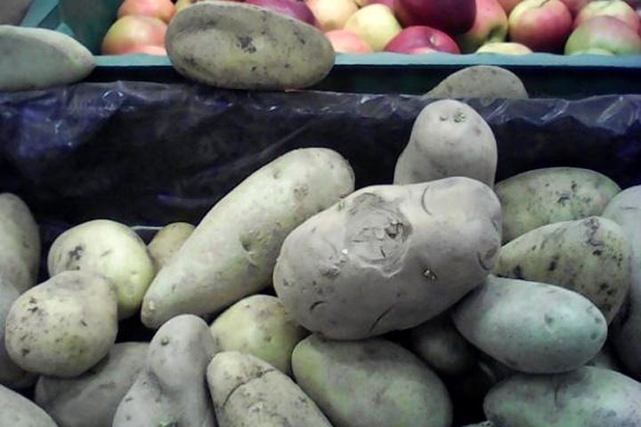 Картошка подскочила в цене в пять раз, морковь — на 20%: итоги мониторинга Тайги.инфо