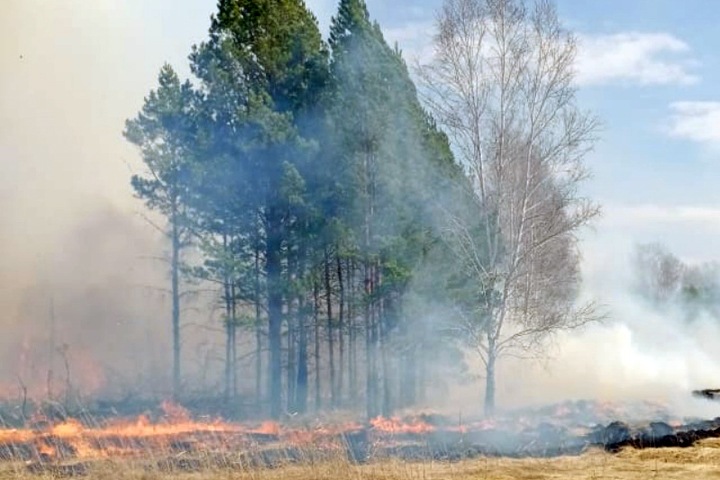 Площадь пожаров в Сибири с начала года приблизилась к 20 тыс. га
