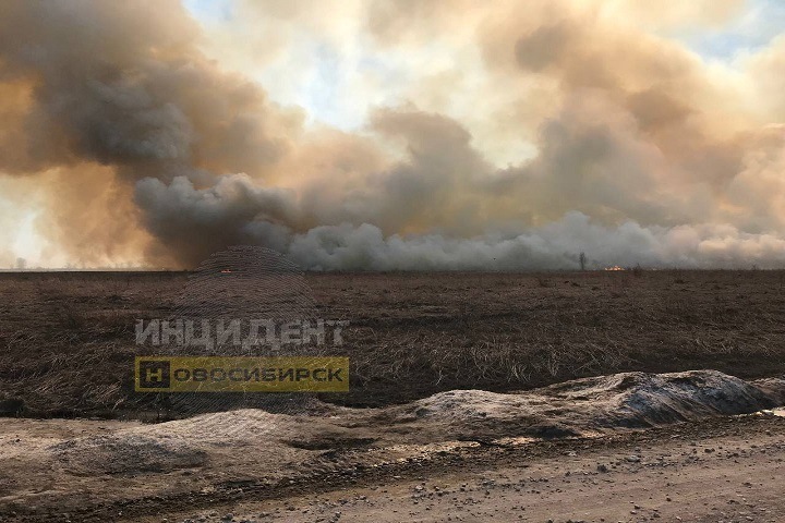 Пожары подобрались к дачам в Новосибирской области